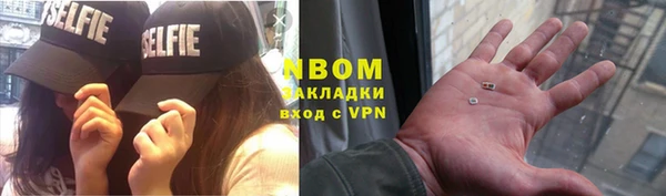 сатива Алзамай